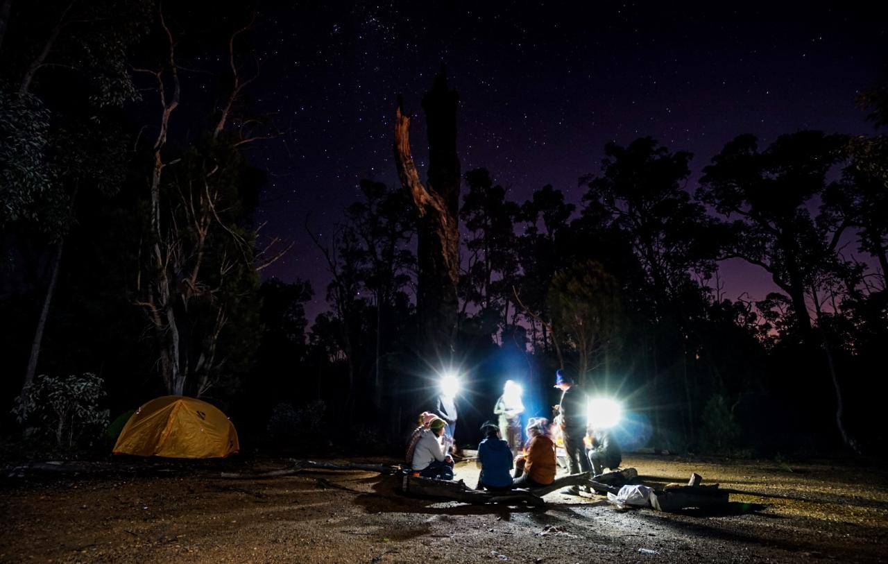people around campfire with torches looking up into the night sky