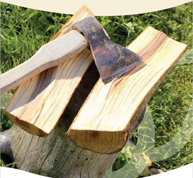 axe on split wood