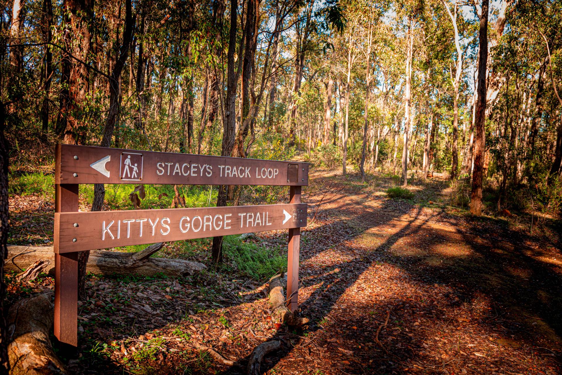 Kitty's Gorge Walk Trail 