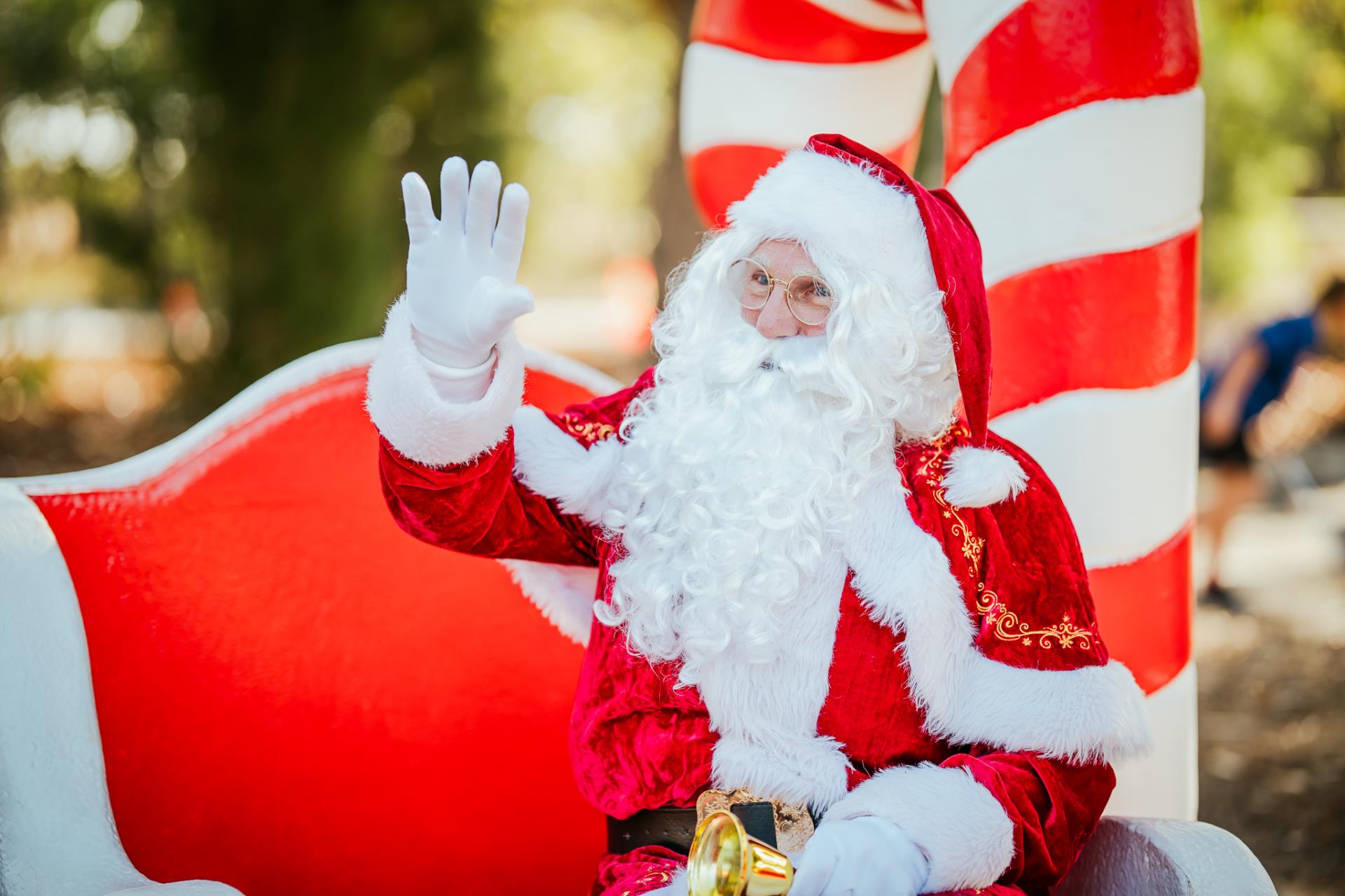 Christmas in SJ Image