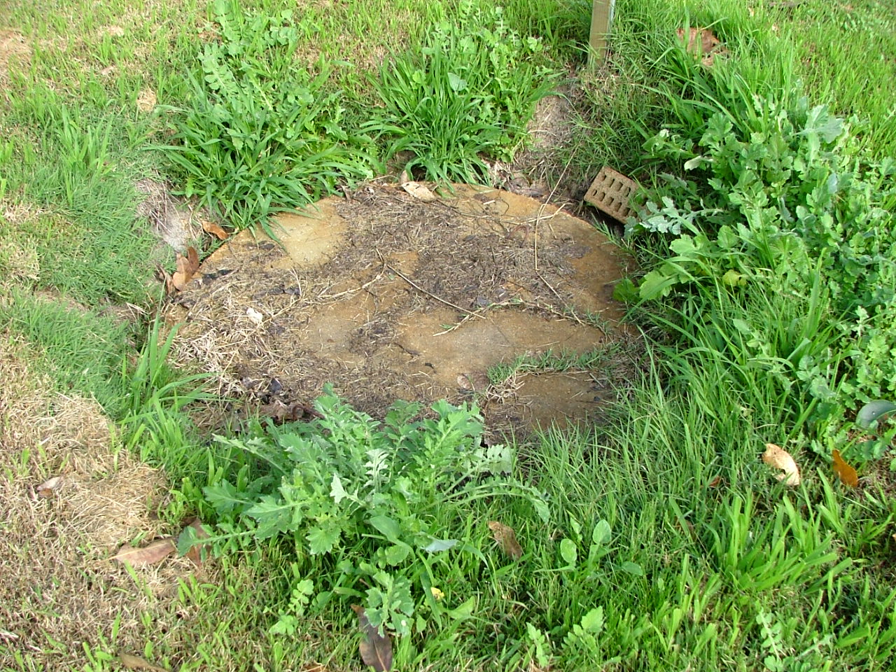 Decommissioning a septic system Image