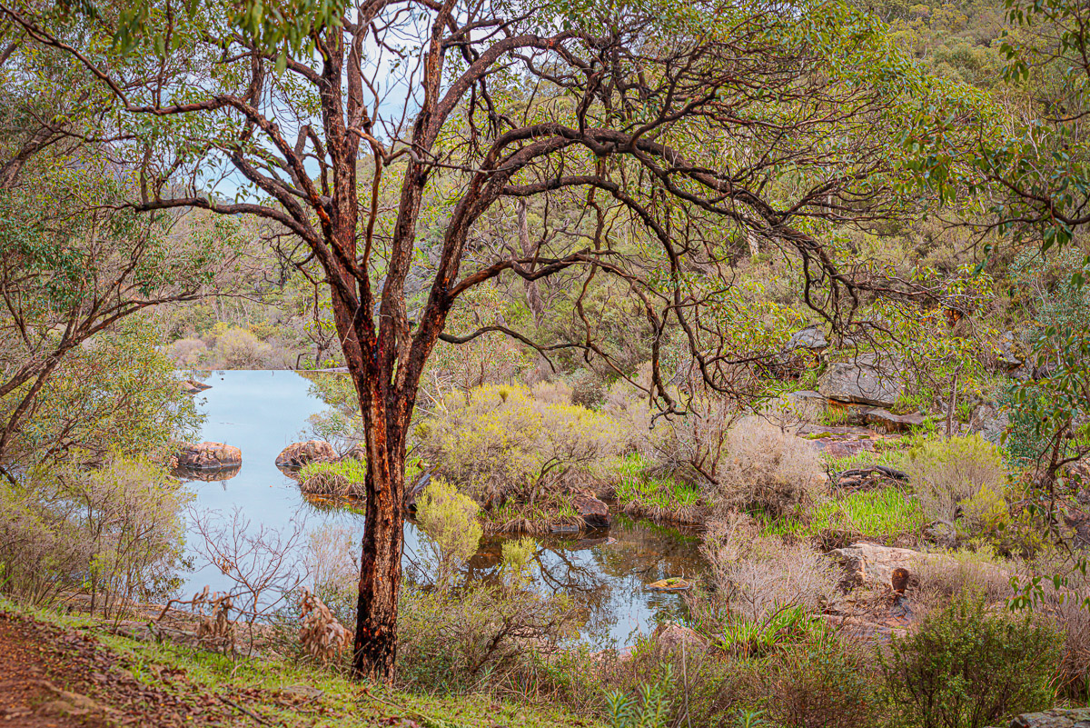 Enhancing Our Environment Image