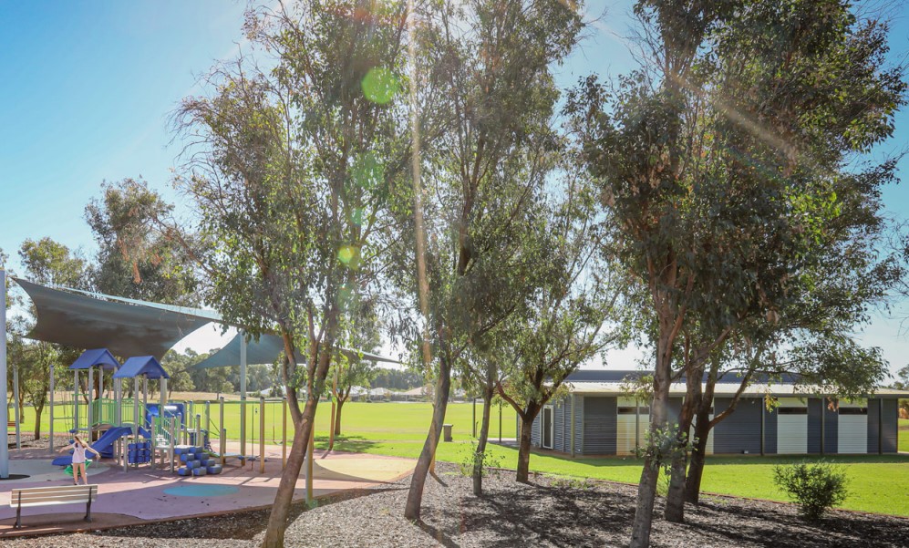 Urban and Rural Tree Selection Matrix Image