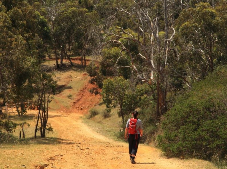 Macora Walk Trail Image