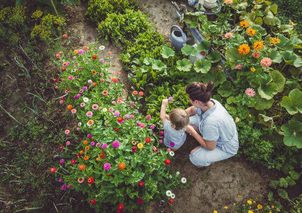 Verges and Gardens Image