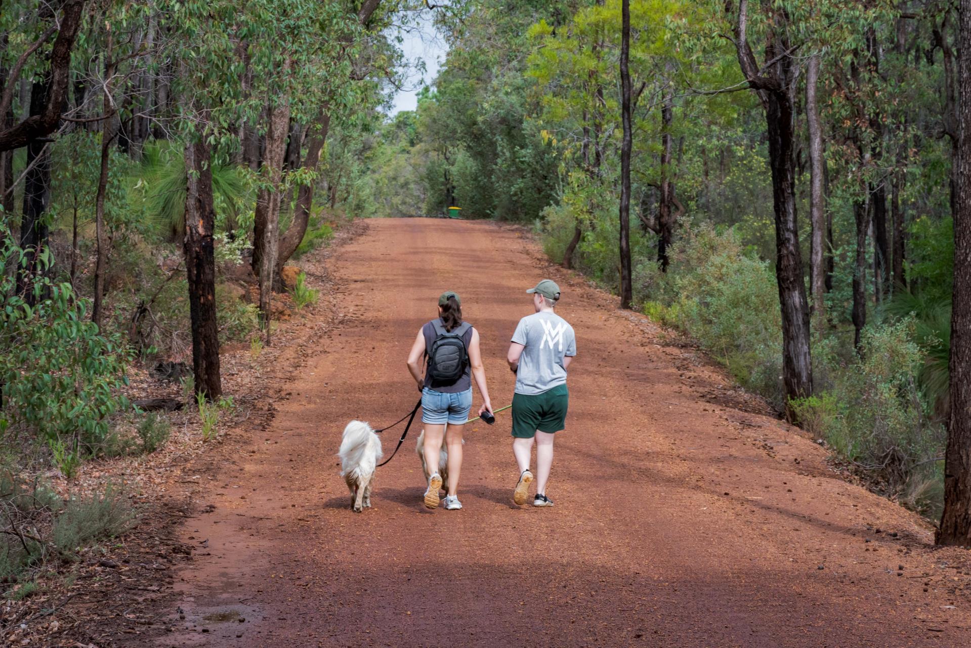 Dog Friendly Trails Image