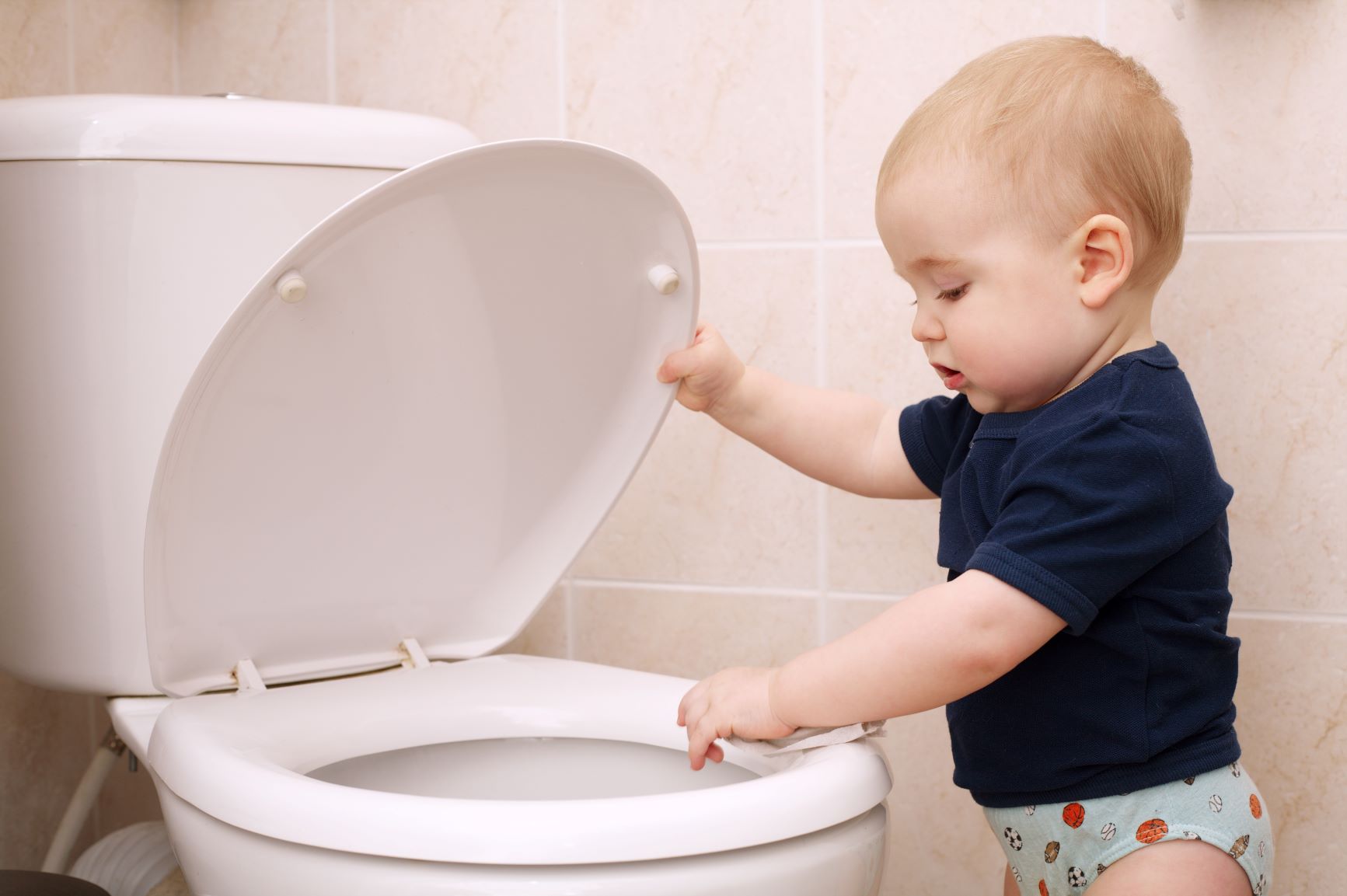 Onsite effluent disposal systems Image