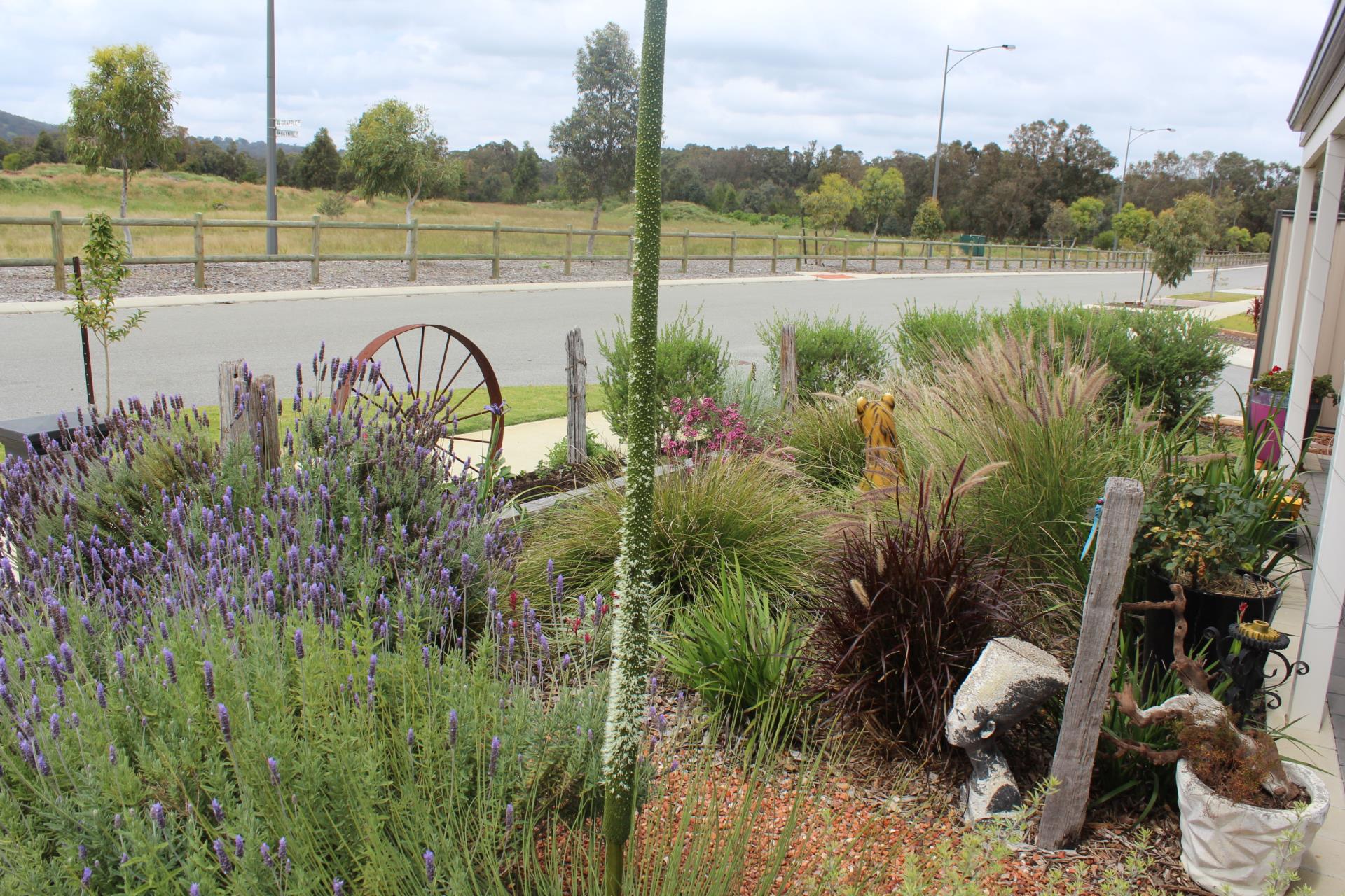 Waterwise Council Program Image