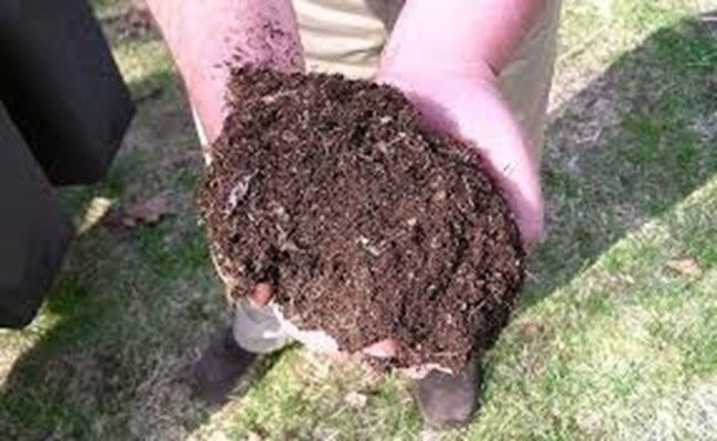 Waste Is My Resource - Image of compost