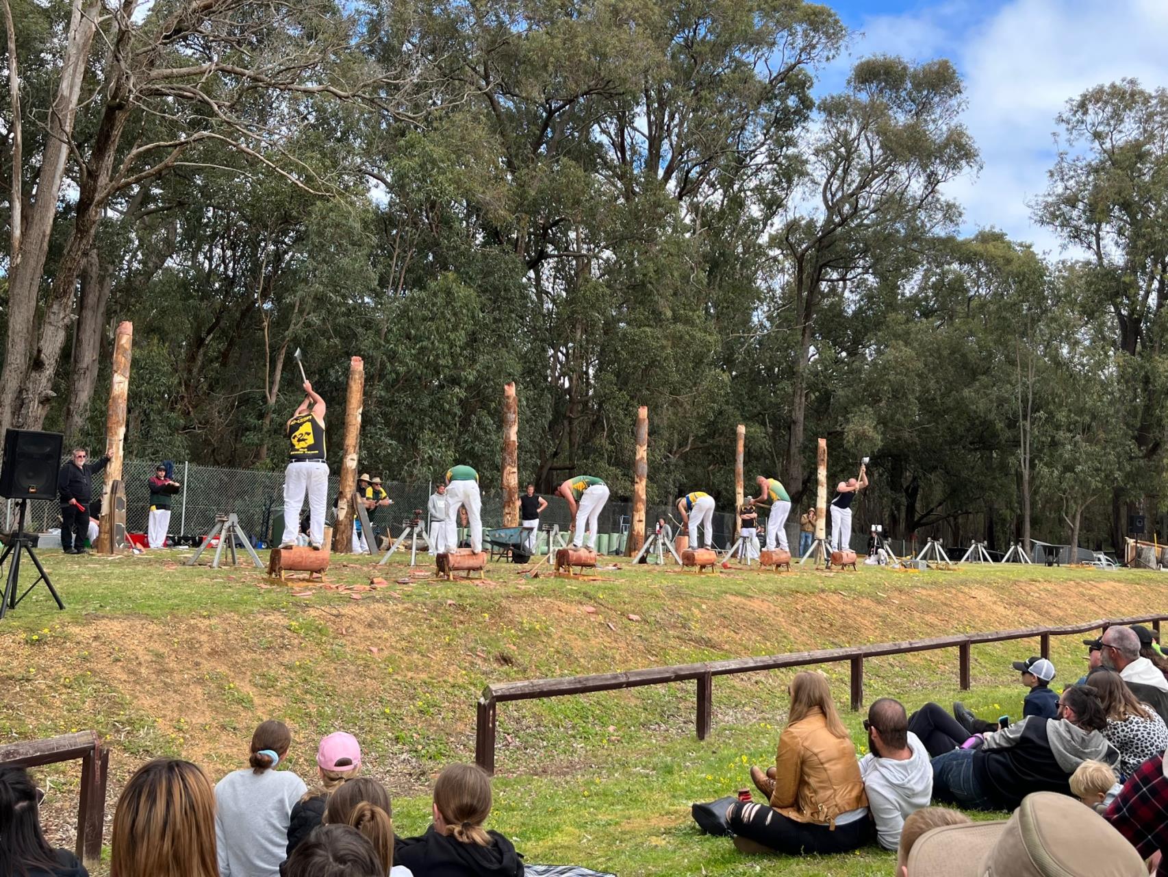 Jarrahdale Log Chop and SJ Lions Country Fair