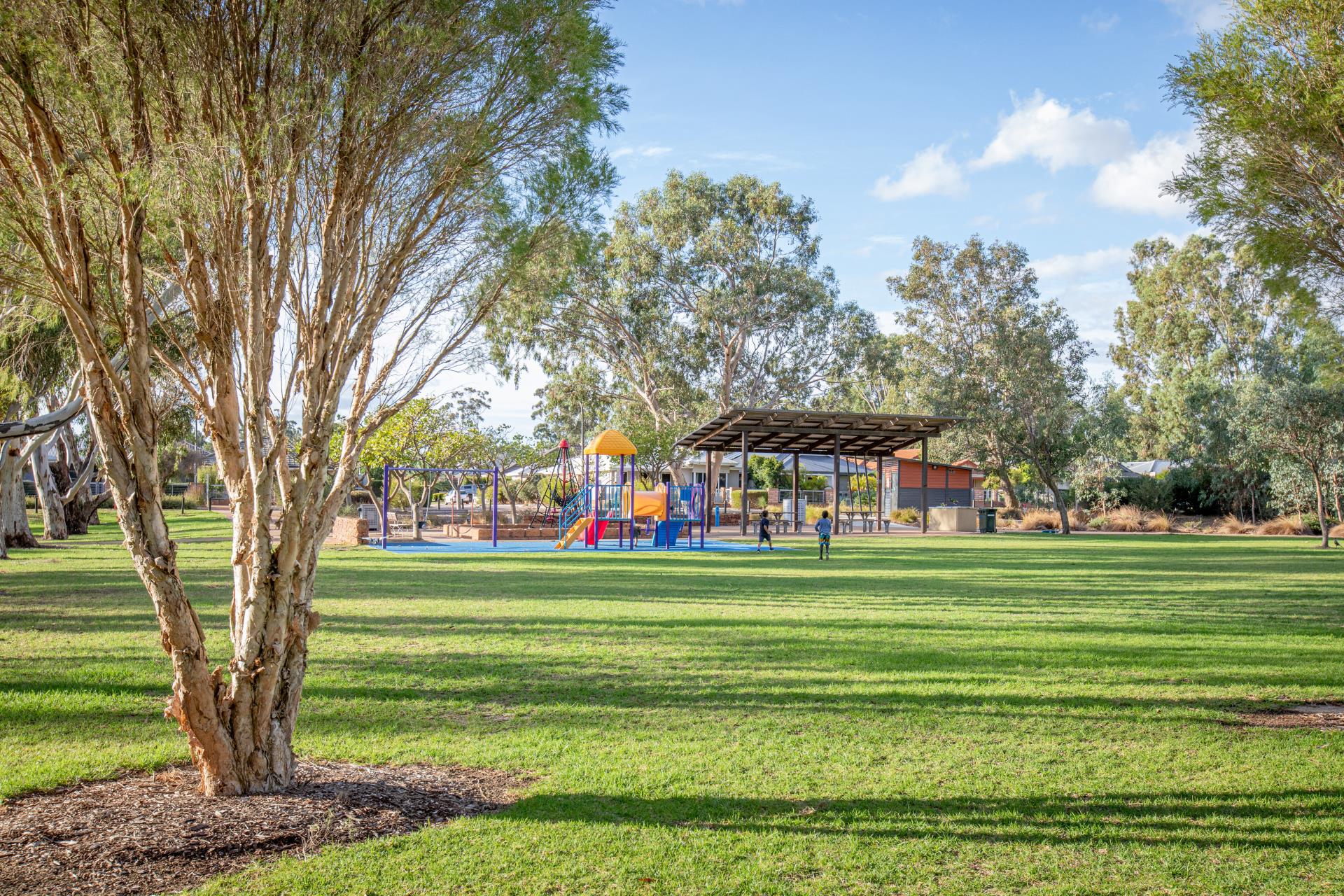 Seniors Week: Percy's Park Cycle and DIY Pot Planting