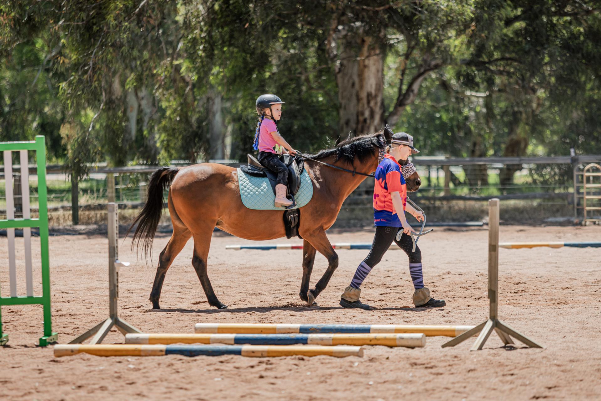 Equine Therapy – Have a Go Day!