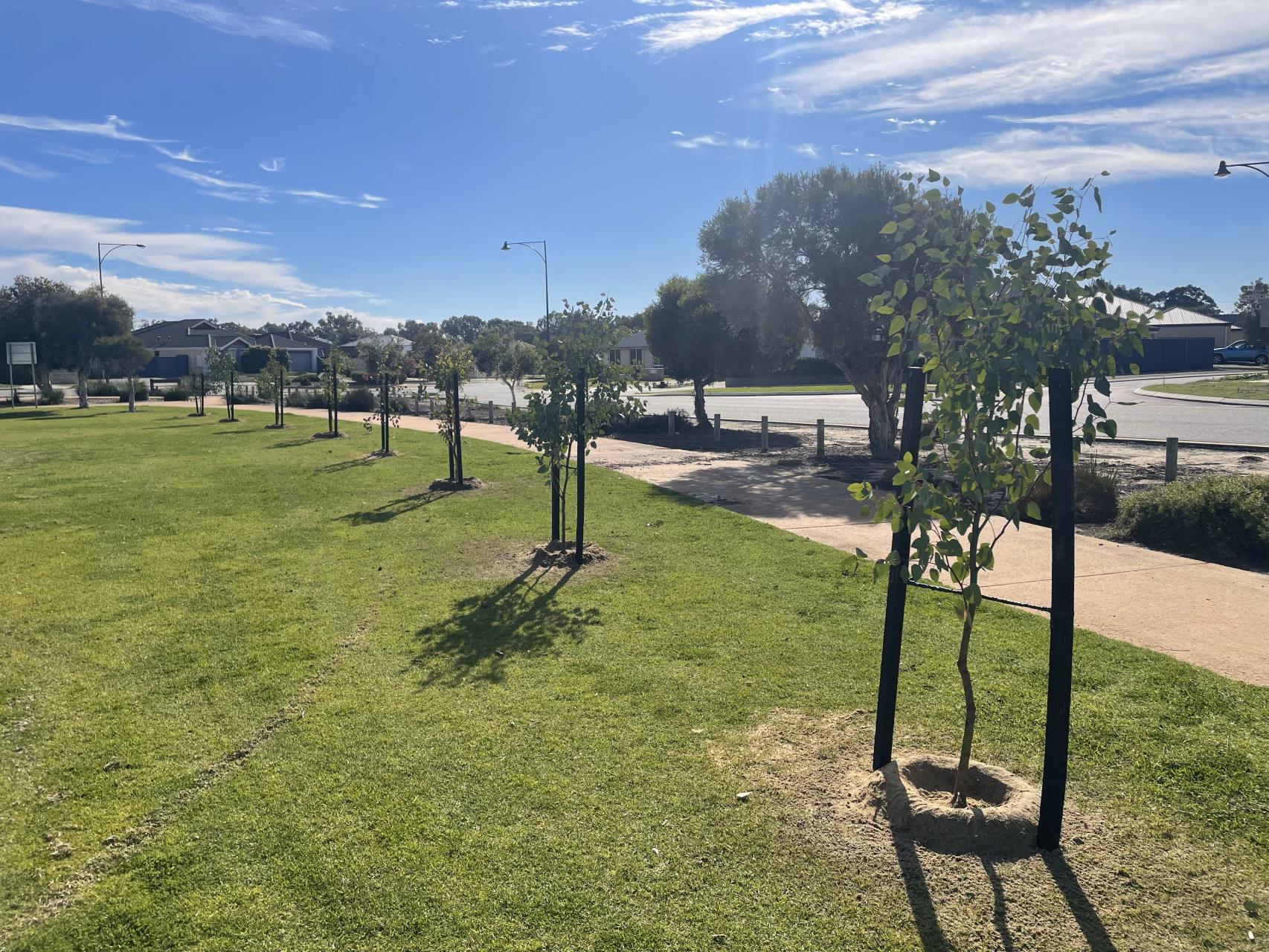 Urban Greening Grant Program breathes new life to Byford