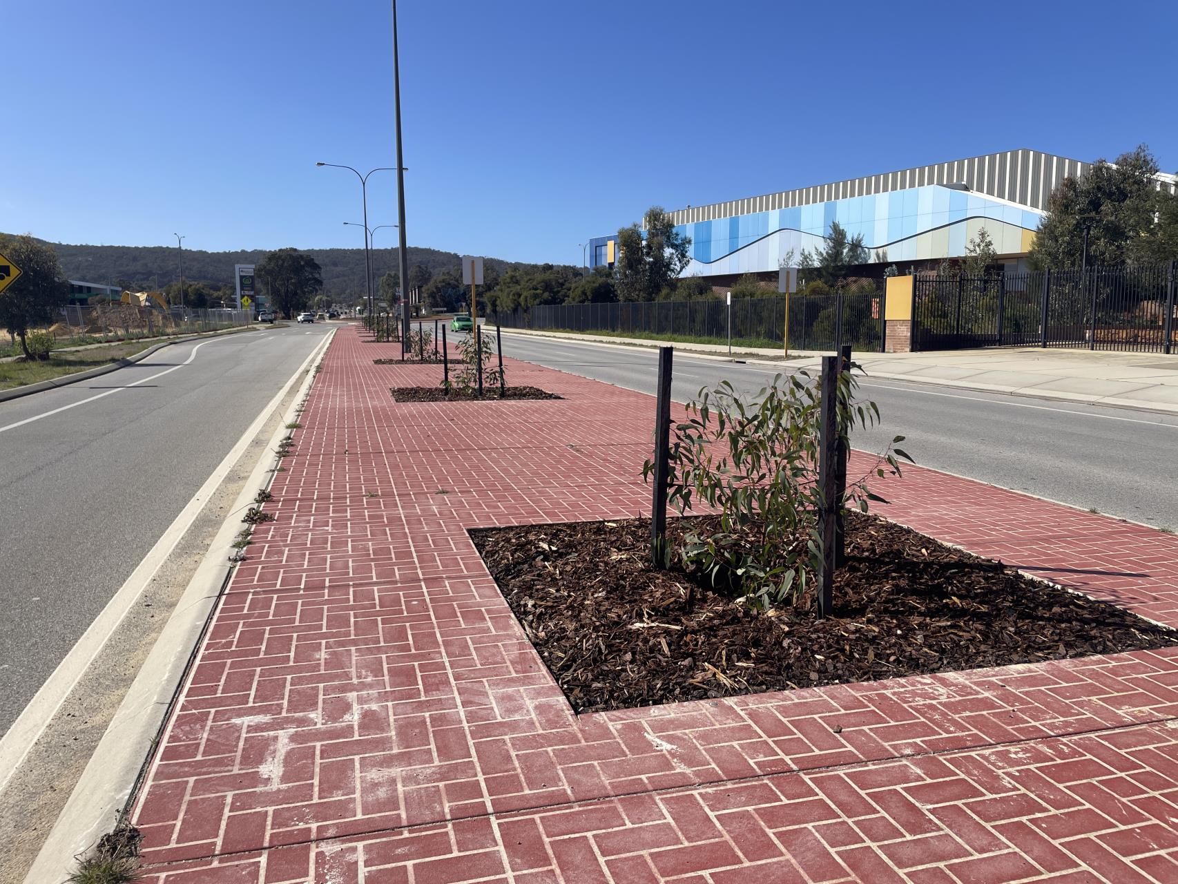 Showcasing local SJ and WA native trees on Abernethy Road