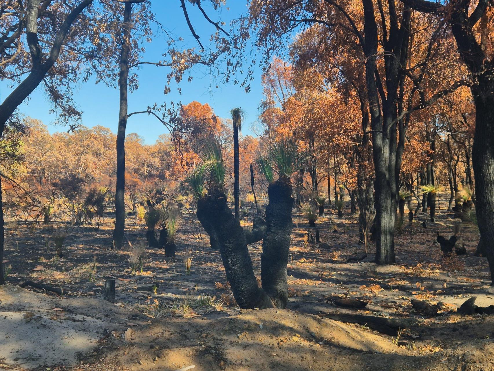 Mundijong Bushfire Community Debrief Recap