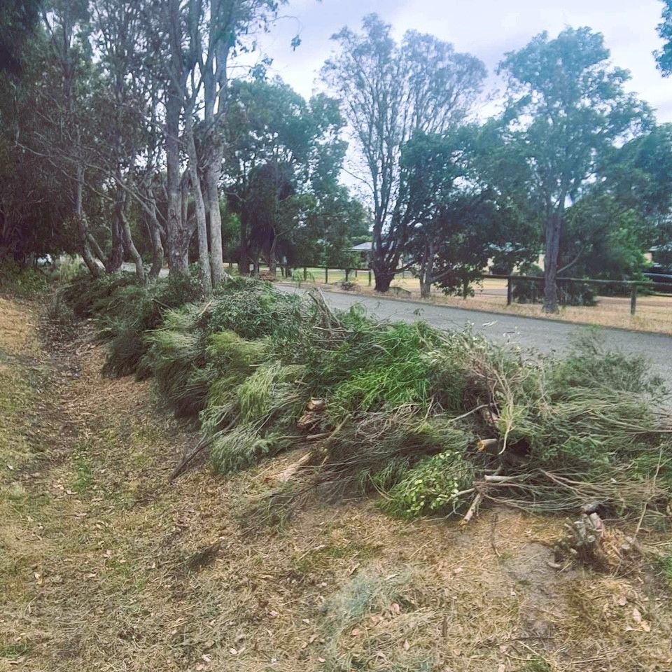 Roadside rubbish collection program not cancelled