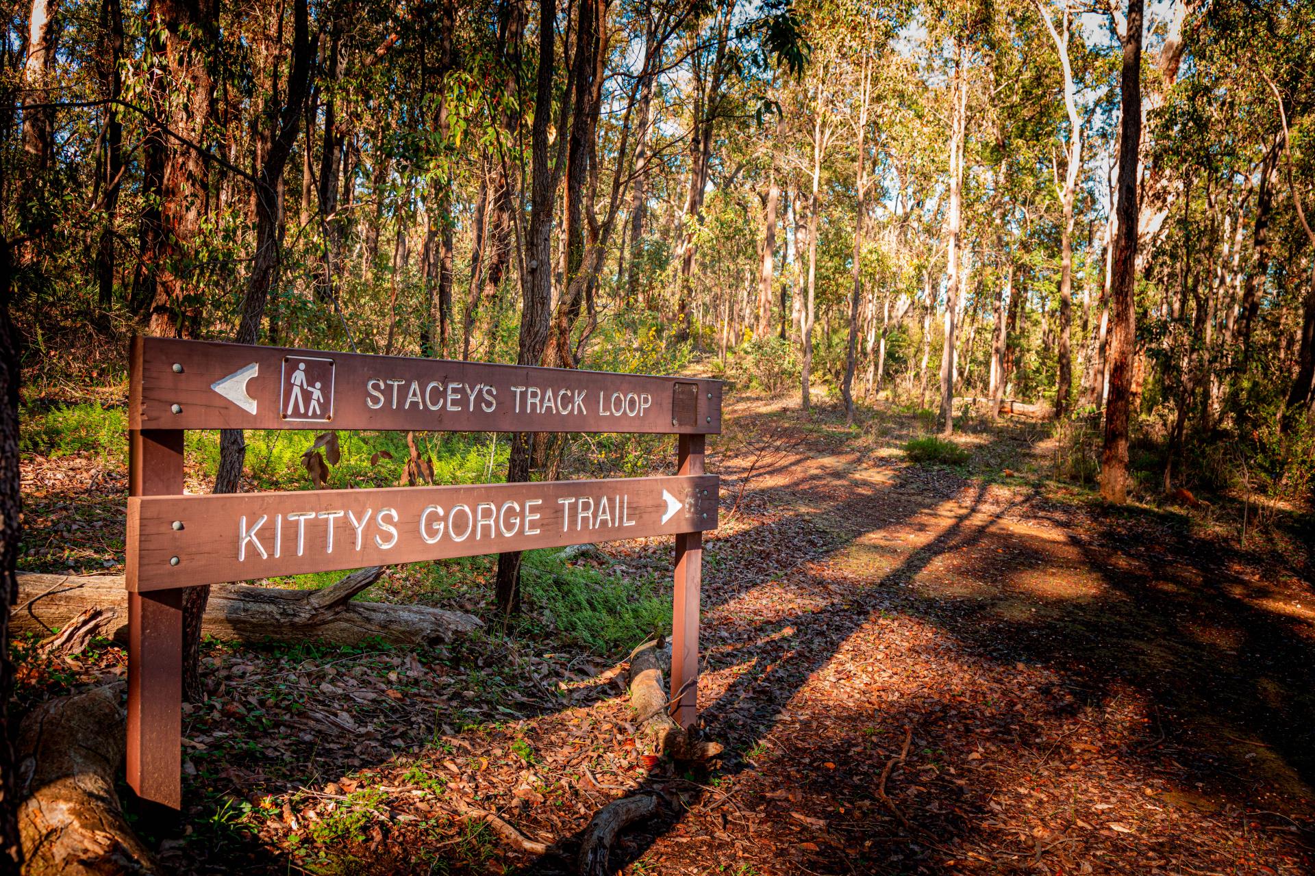 Serpentine Jarrahdale to take centre stage at World Trails Conference 2026