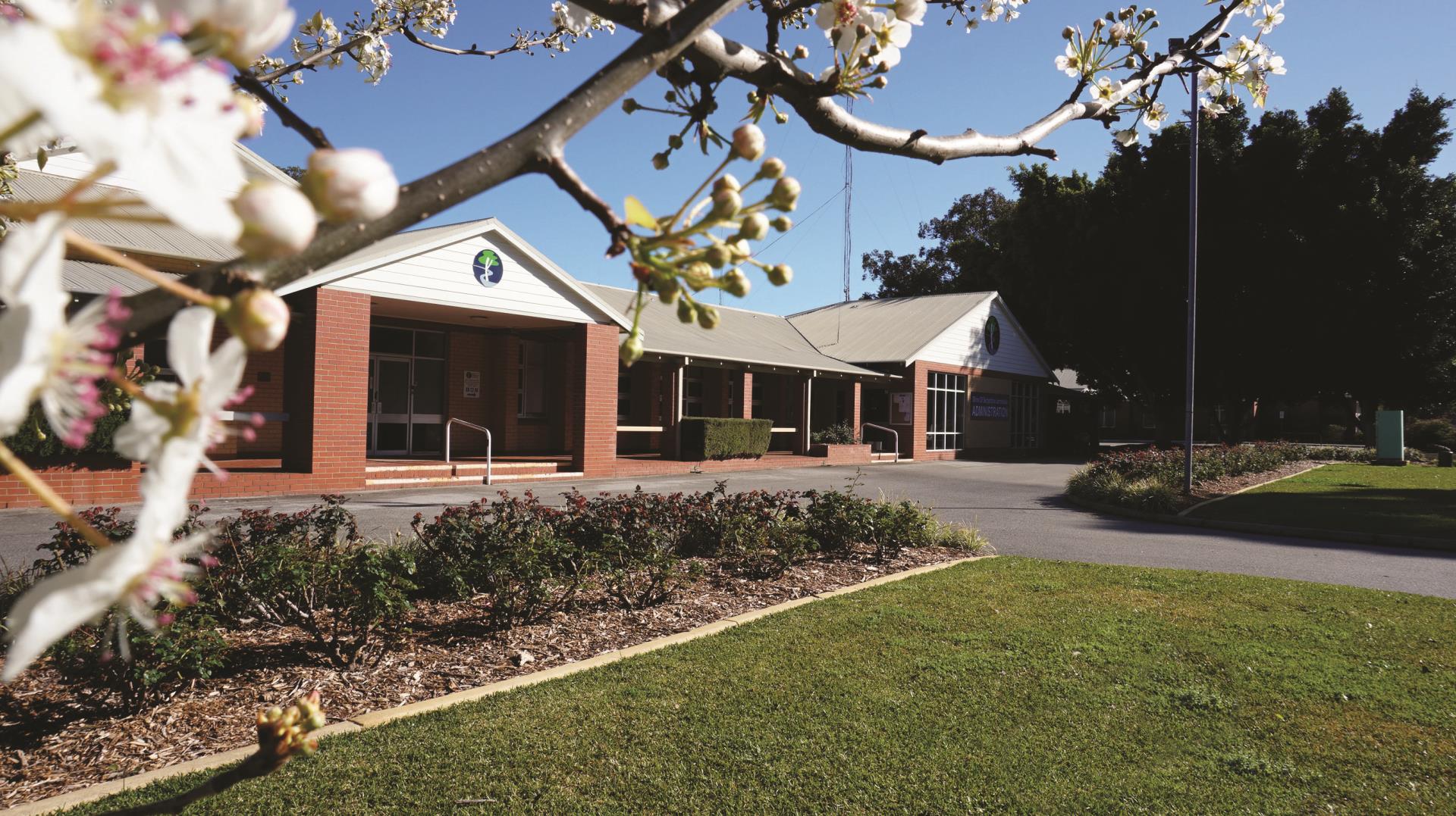 2025 Council election results declared