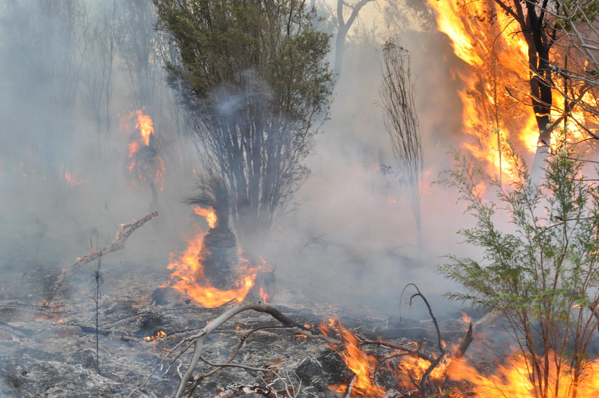 Restricted Burning Period now in effect