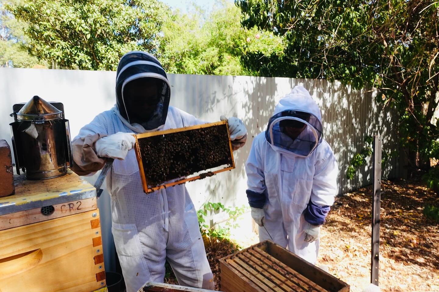 Backyard Beekeeping & A Bee Friendly Garden