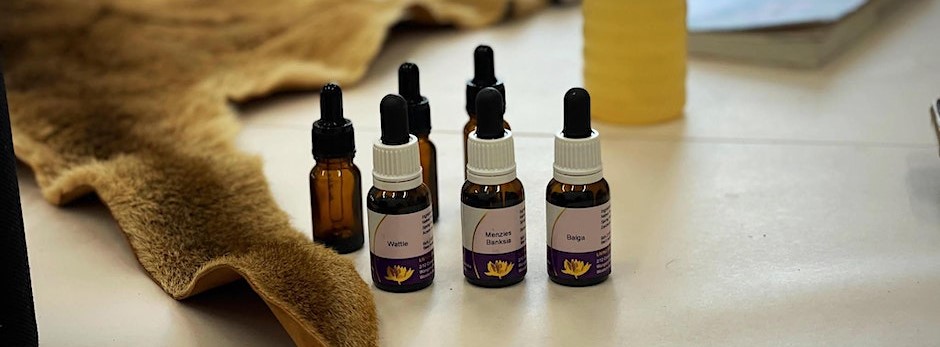 Bush Flower Essence Workshop