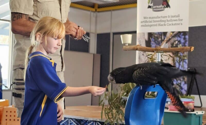 Carnaby’s Crusaders – Cockatoo Education Program - Ages (2 to 16)