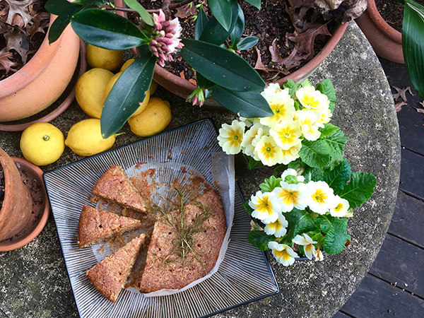 Cuttings & Cake @ Byford Library - 24th June 2025