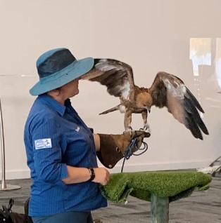 WA Birds of Prey @ Byford Library July Holidays