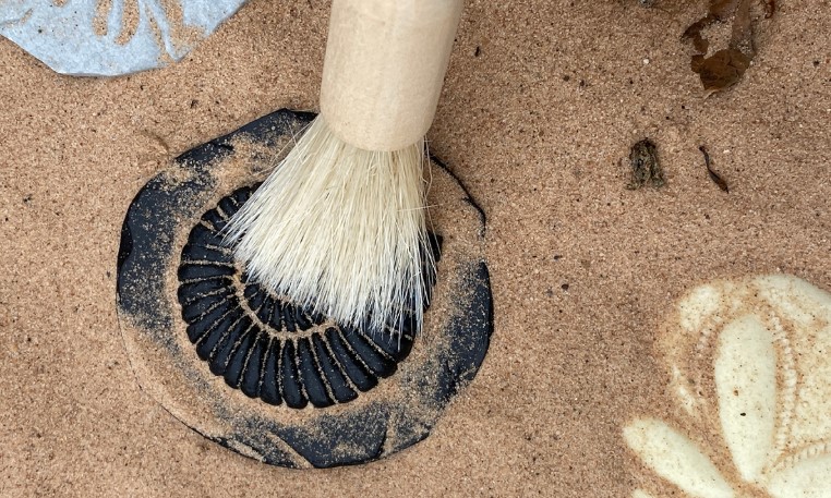 Adventure with Fossils (Ages 7 to 11)