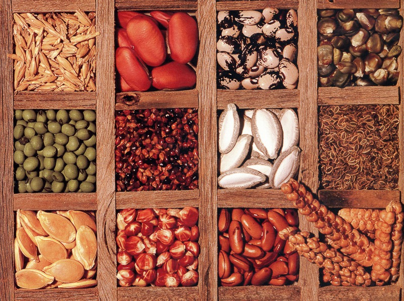 Seed Swap Meeting - July 2025