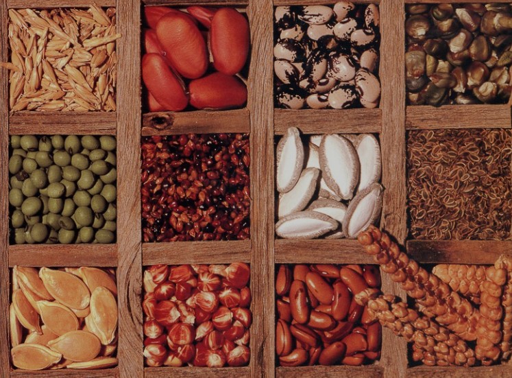 Seed Saving Meeting