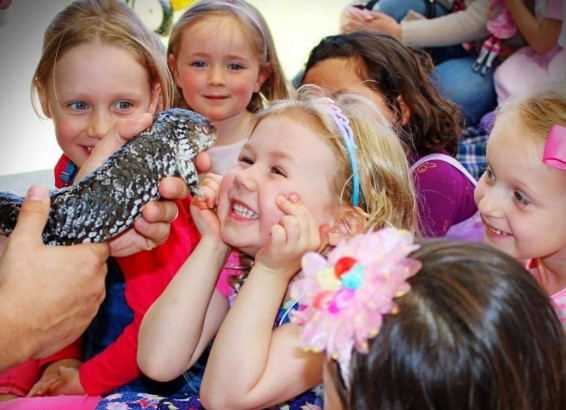 Critters Up Close - Wildlife Experience