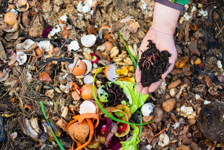 Home Composting Workshop
