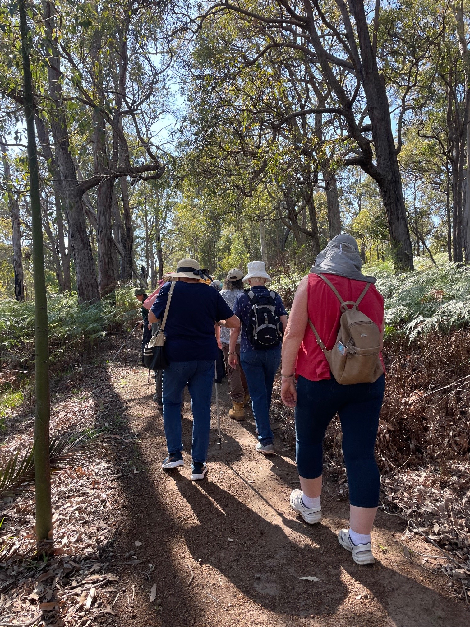 Jarrahdale Bushwalk for Mental Health Week