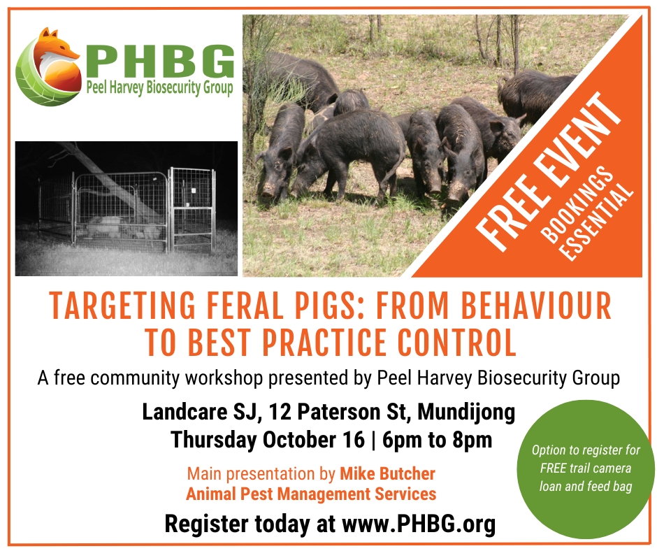 Targeting feral pigs: from behaviour to best practice control