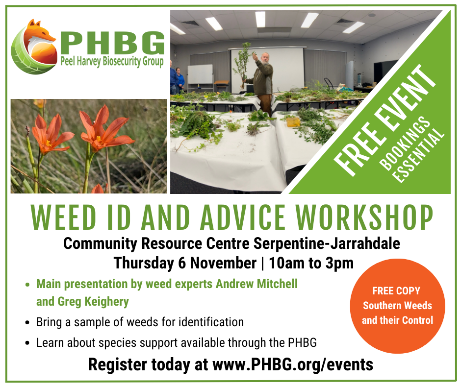 Weed ID and Advice Workshop