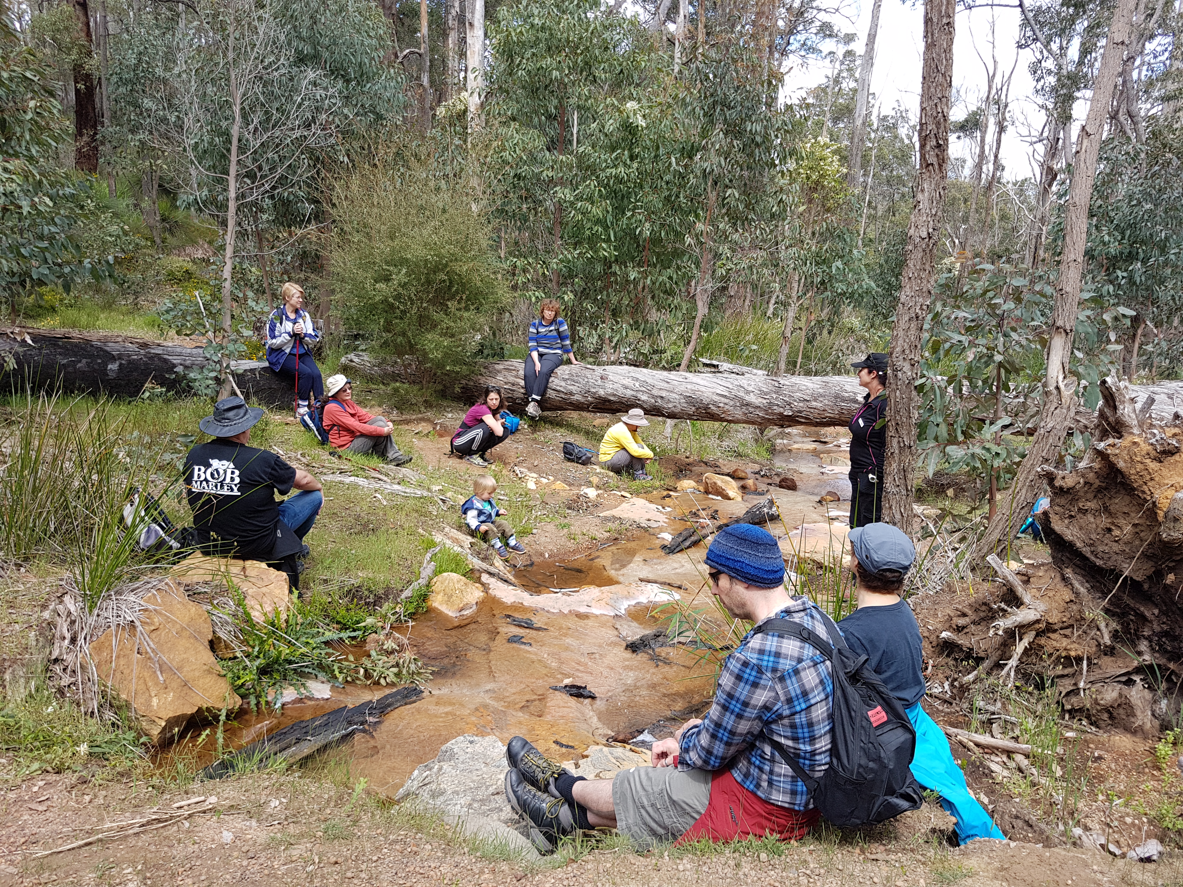 Jarrahdale Guided Walk