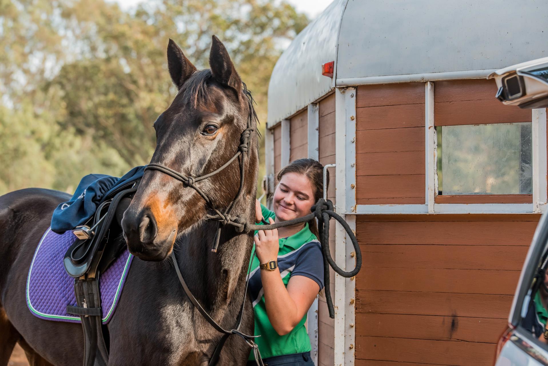Casting call – Equine safety community campaign