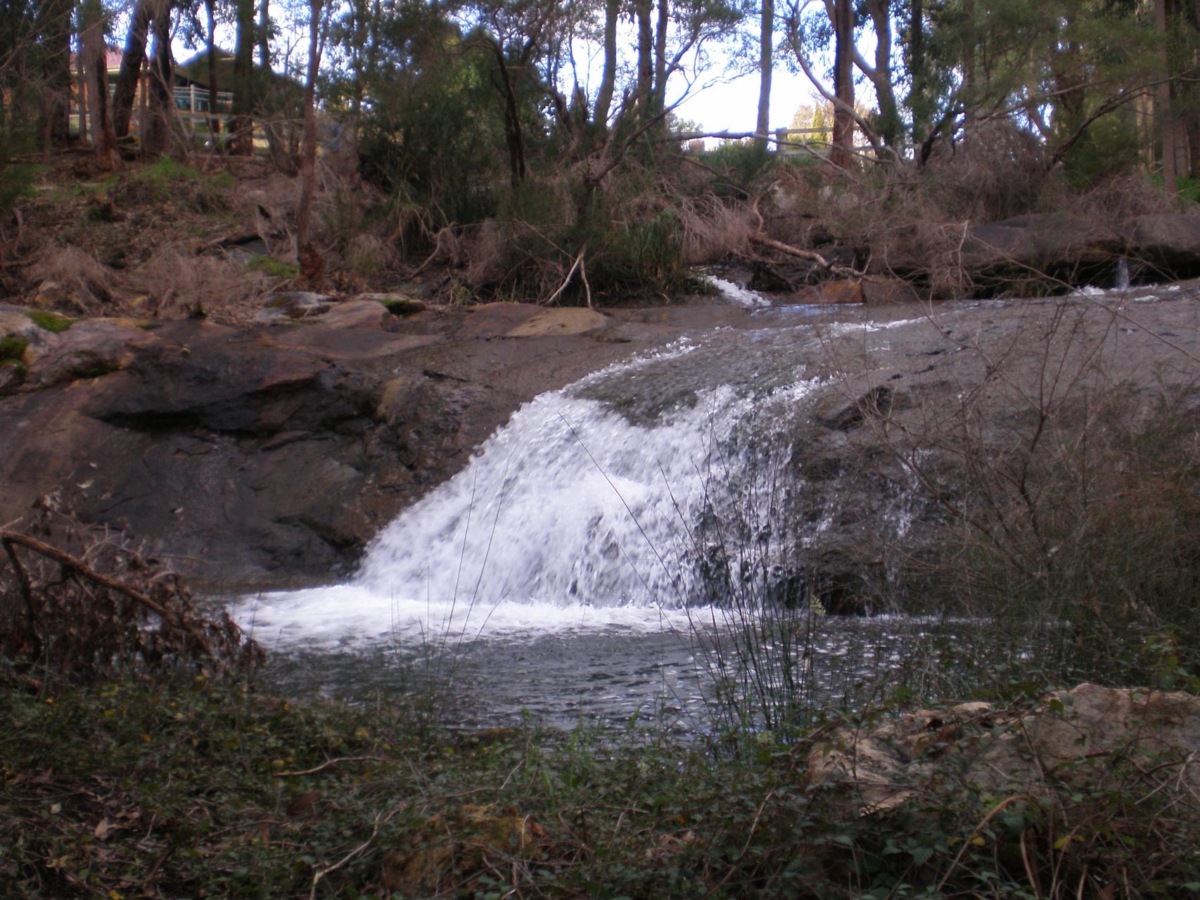Shire of Serpentine Jarrahdale recognised once again as Gold Waterwise